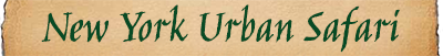 New York Urban Safari logo