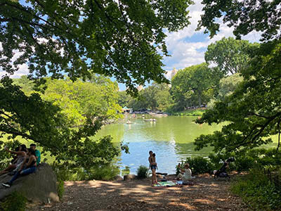 Central Park in New York City